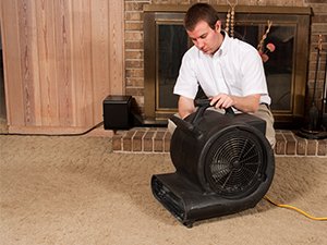 How To Speed Up Carpet Drying