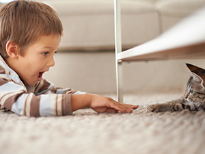 Kids, Pets, and Your Carpet