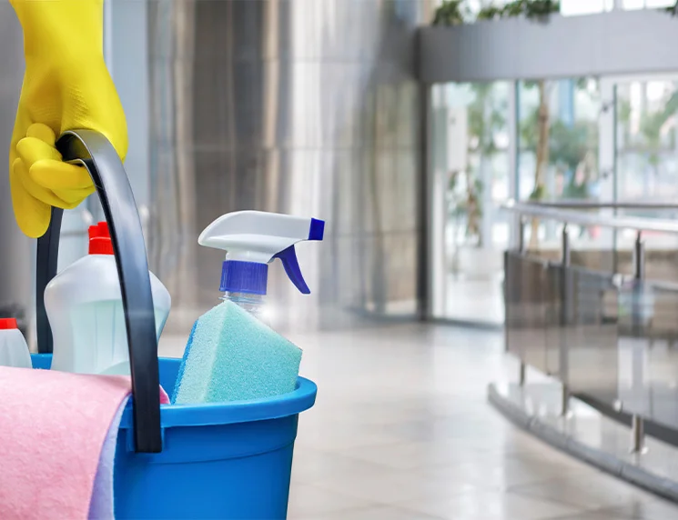  https://cartersfloorandsurfacecare.com/wp-content/uploads/2025/07/Stone-and-tile-Care-Guide.webp